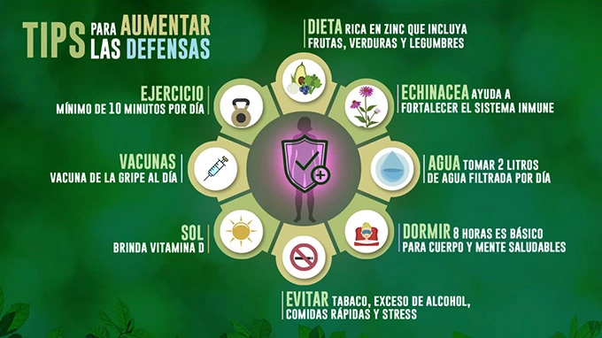 Beneficios de la Echinacea